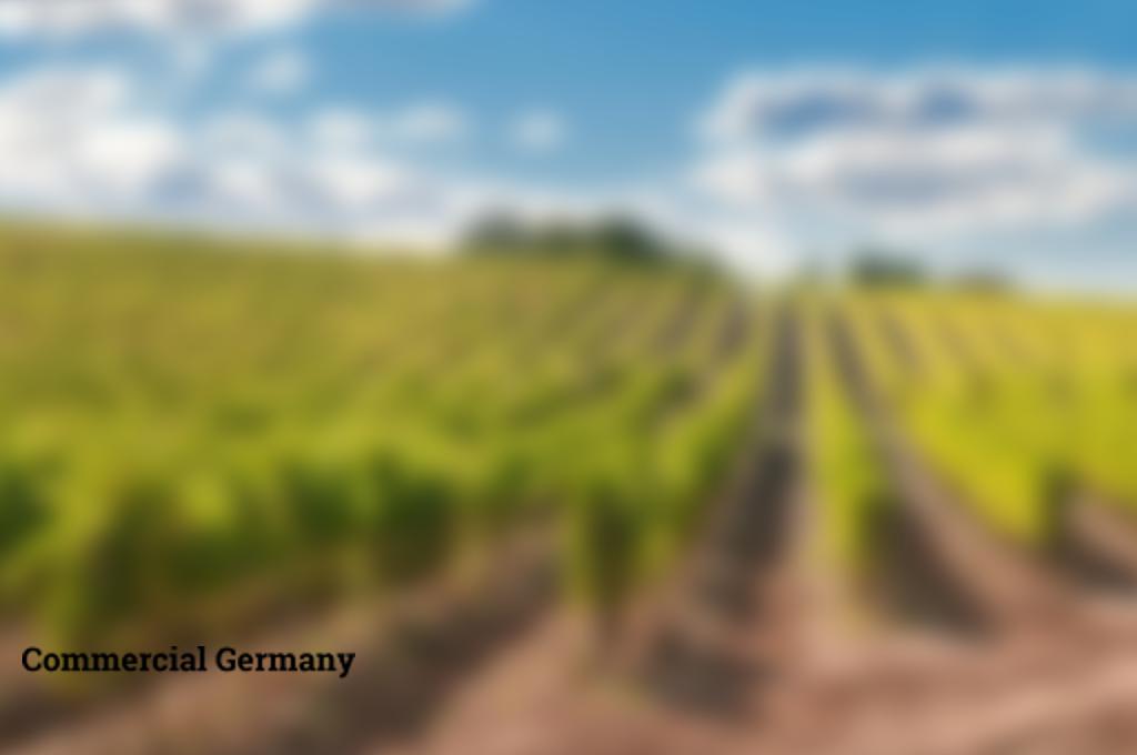 Investment land in Saxony-Anhalt, photo #1, listing #103594134